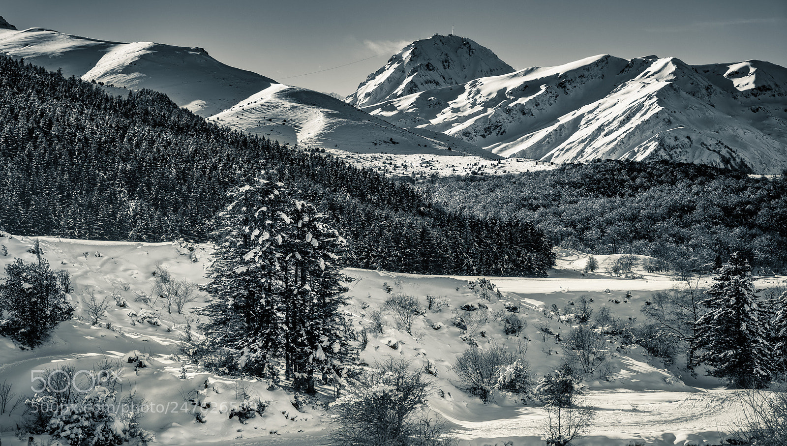 Nikon D7200 sample photo. Sun & snow photography