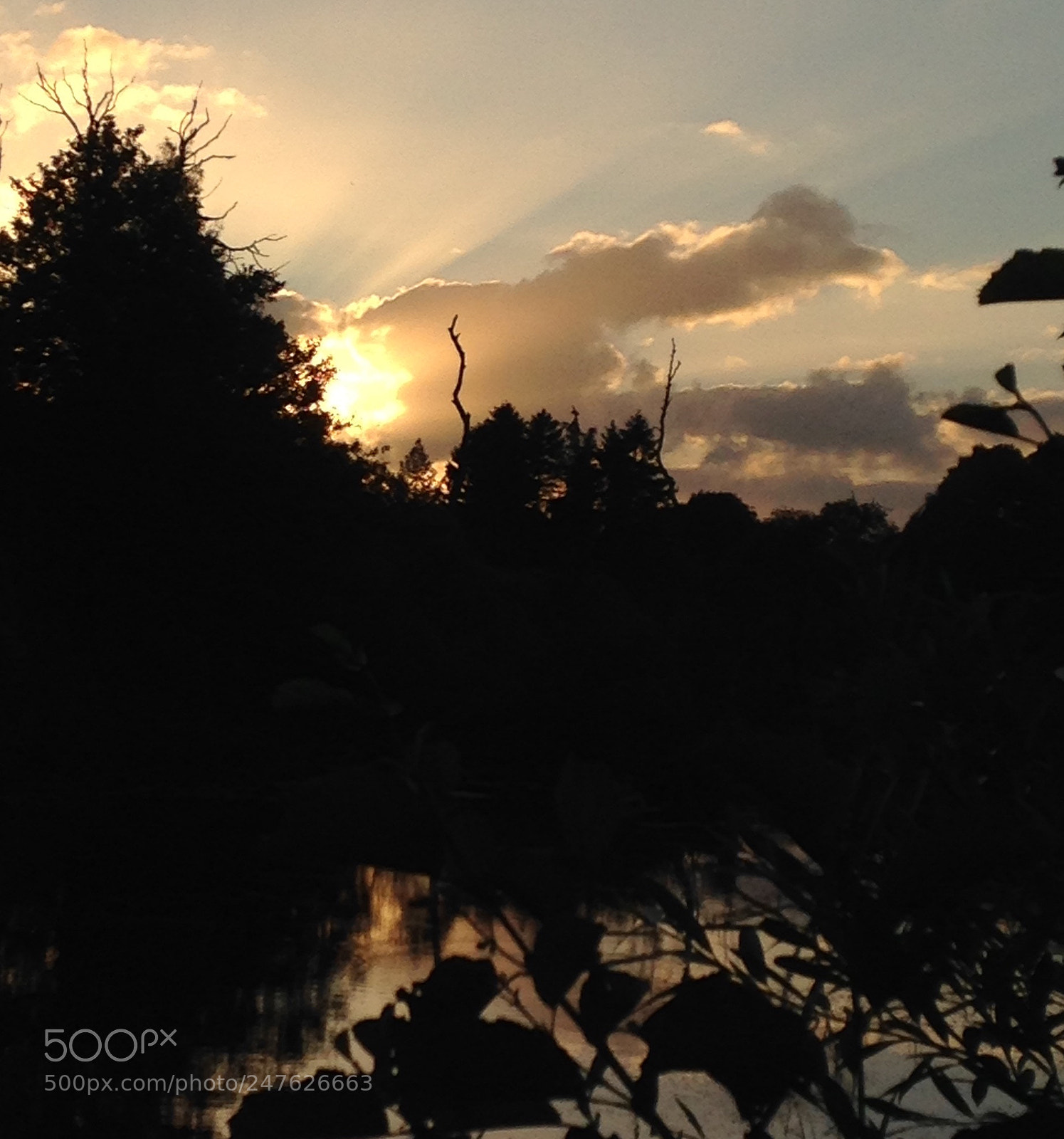 Apple iPhone 5c sample photo. Summernight photography