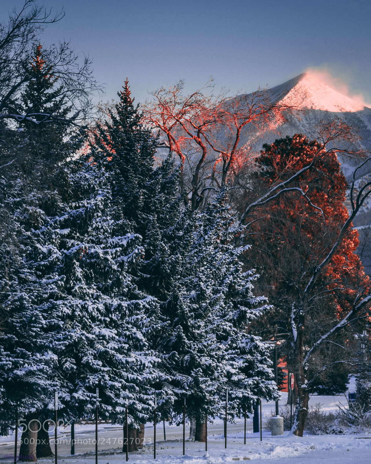Nikon D5600 sample photo. Snow cap photography