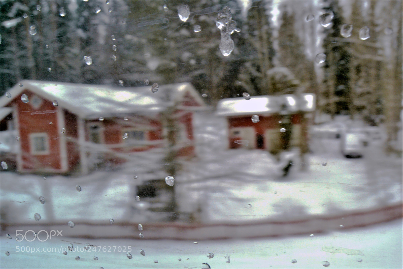 Nikon D3100 sample photo. While on train photography