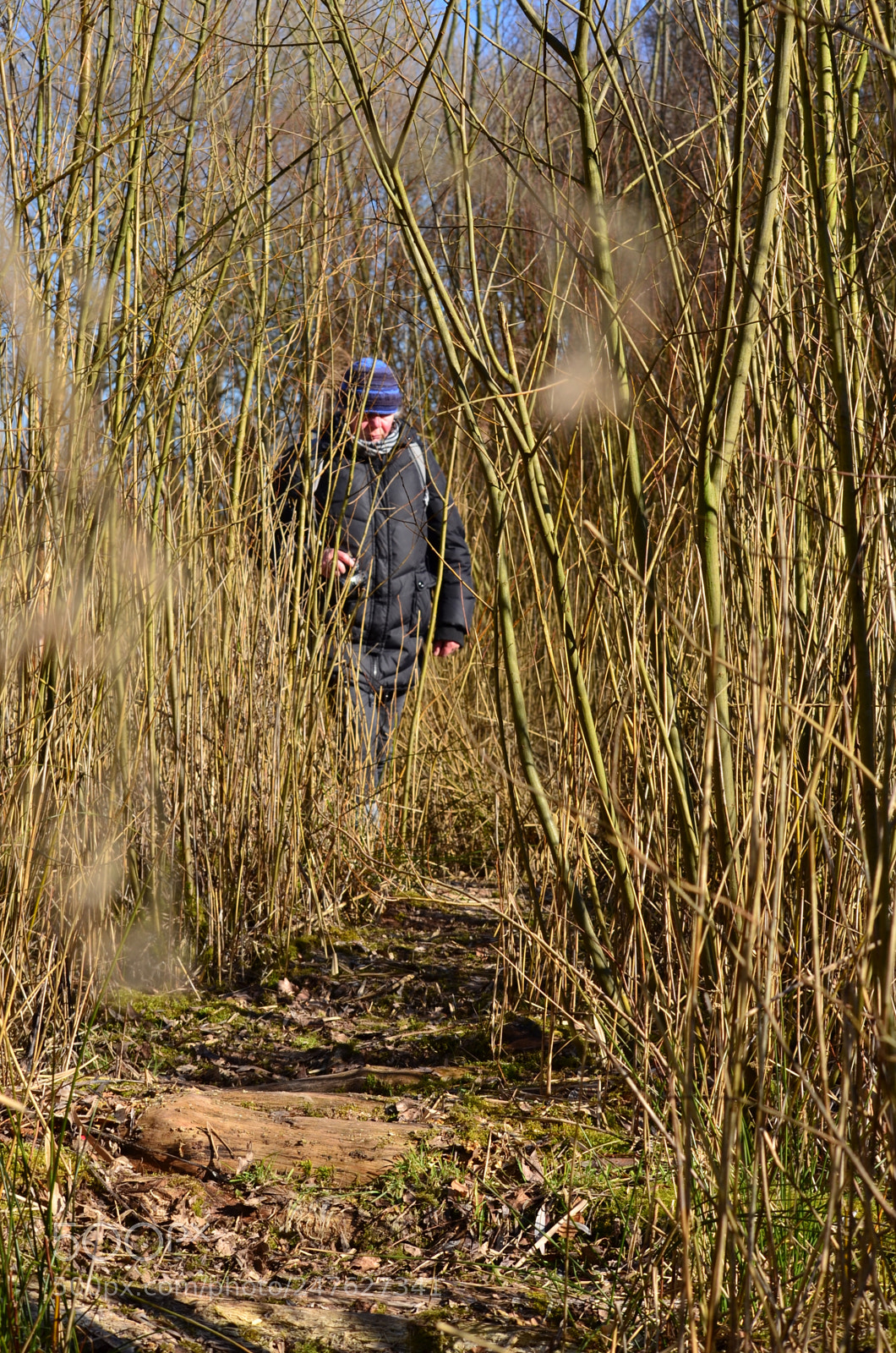 Nikon D5100 sample photo. Out the bush photography