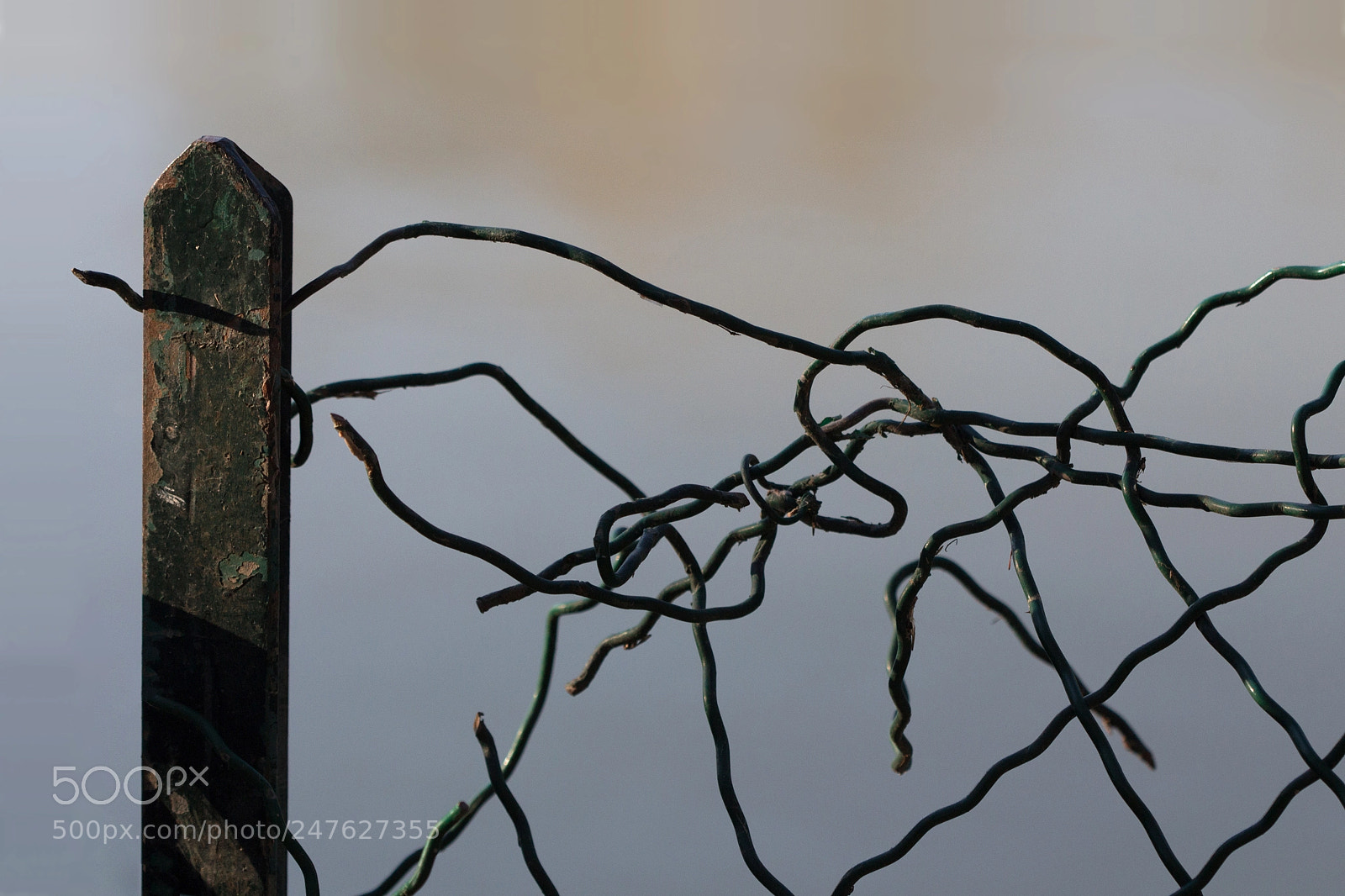 Canon EOS 700D (EOS Rebel T5i / EOS Kiss X7i) sample photo. Evasion (escape) photography