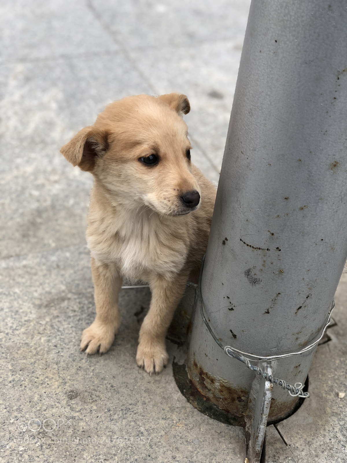 Apple iPhone 8 Plus sample photo. Untitled photography