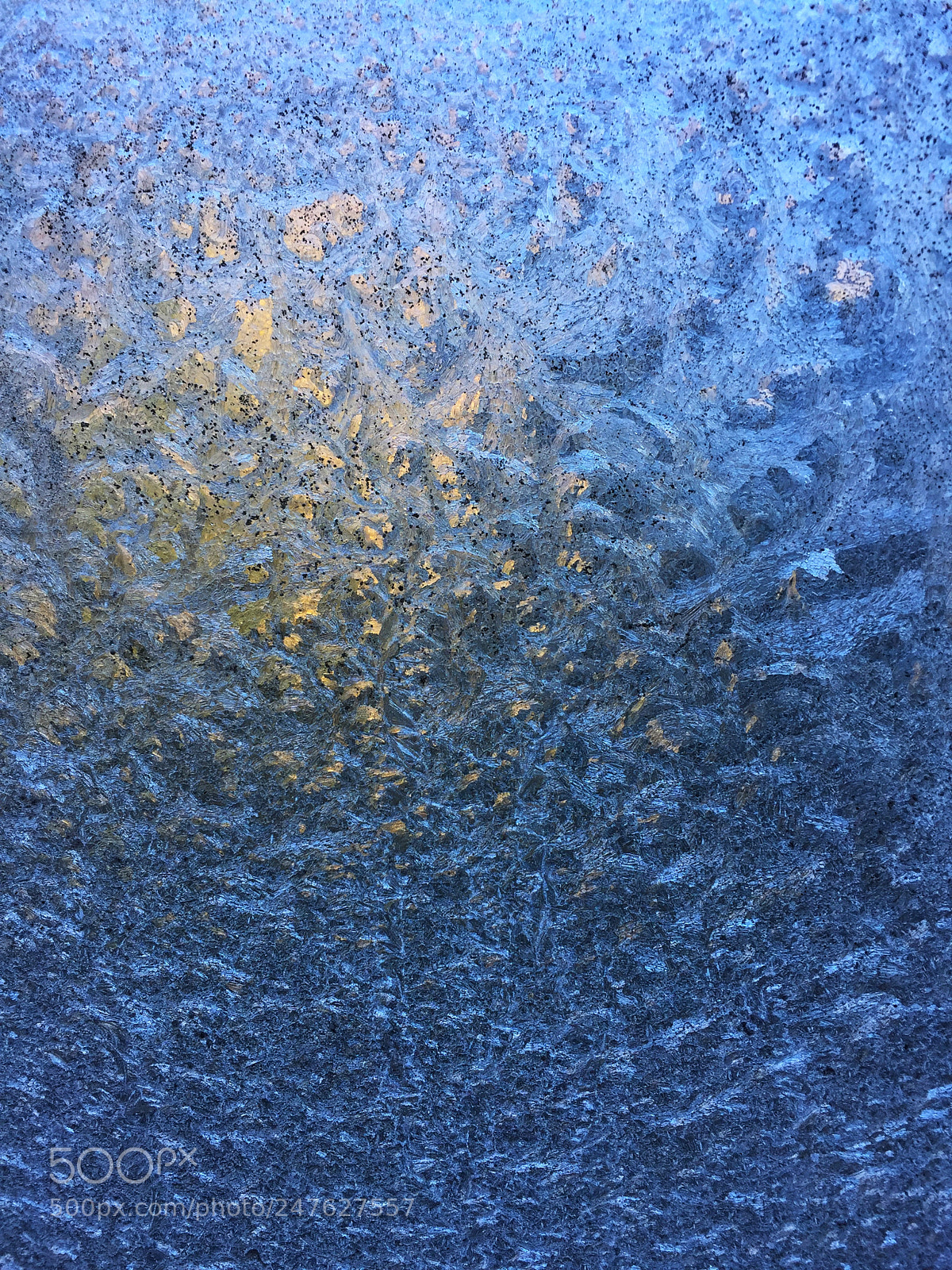 Apple iPhone 6 sample photo. Le givre sur la photography