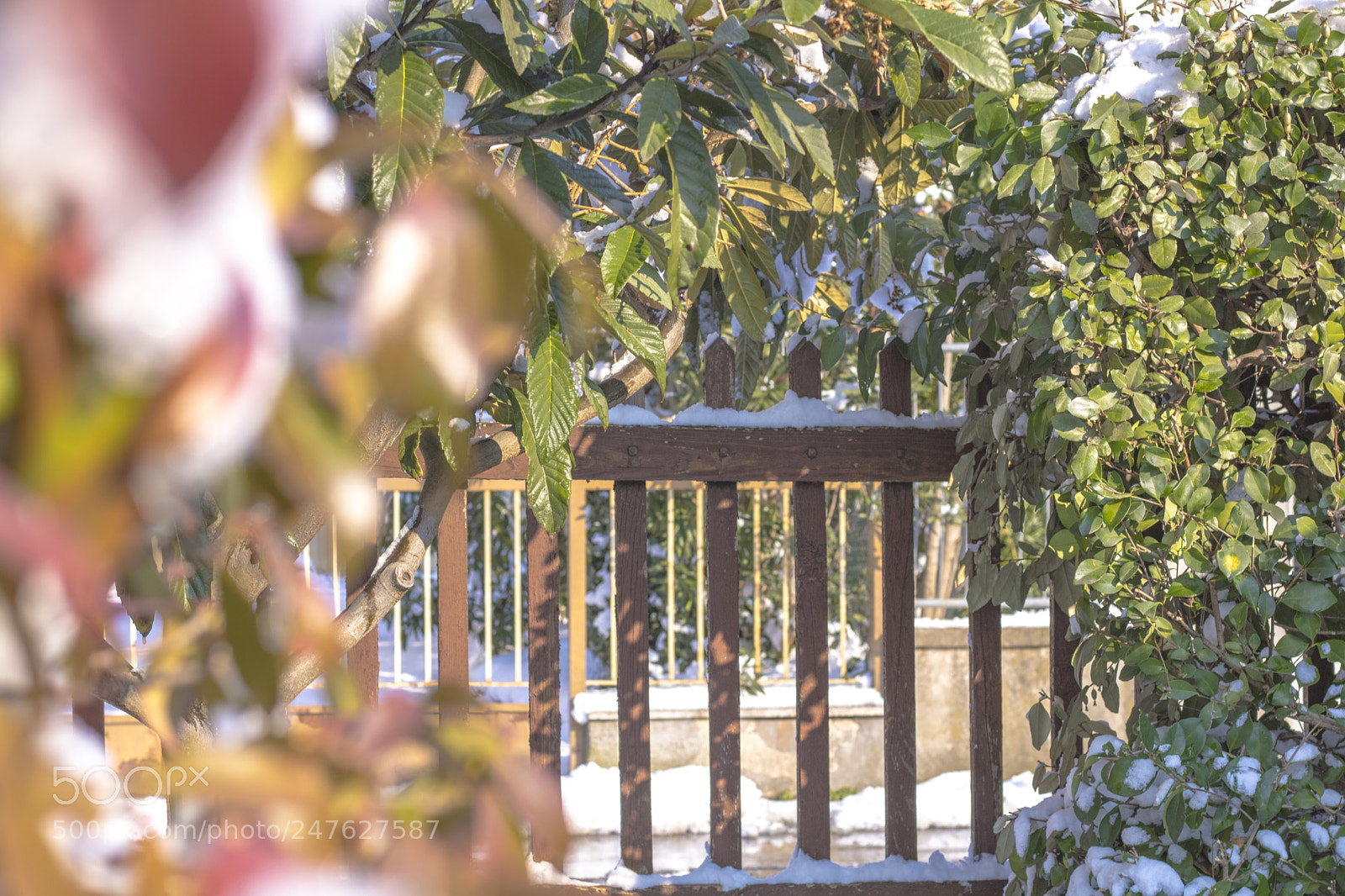 Canon EOS 750D (EOS Rebel T6i / EOS Kiss X8i) sample photo. Snow photography