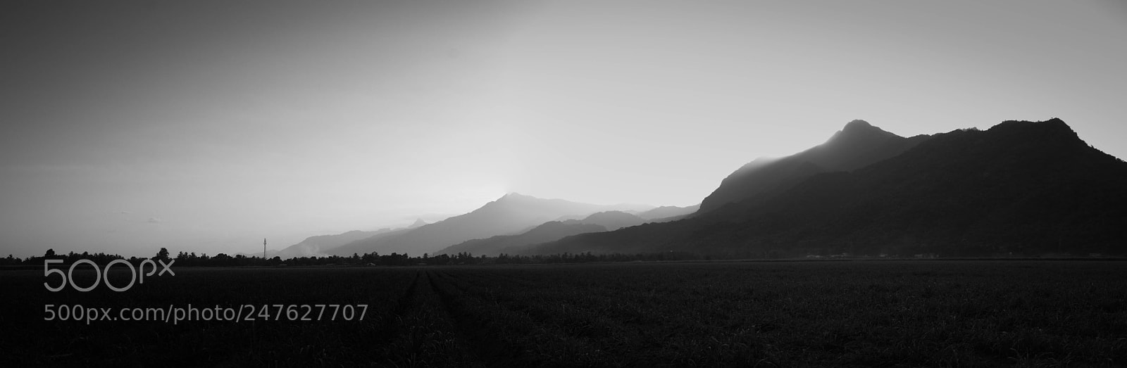 Nikon D3100 sample photo. Shadow photography