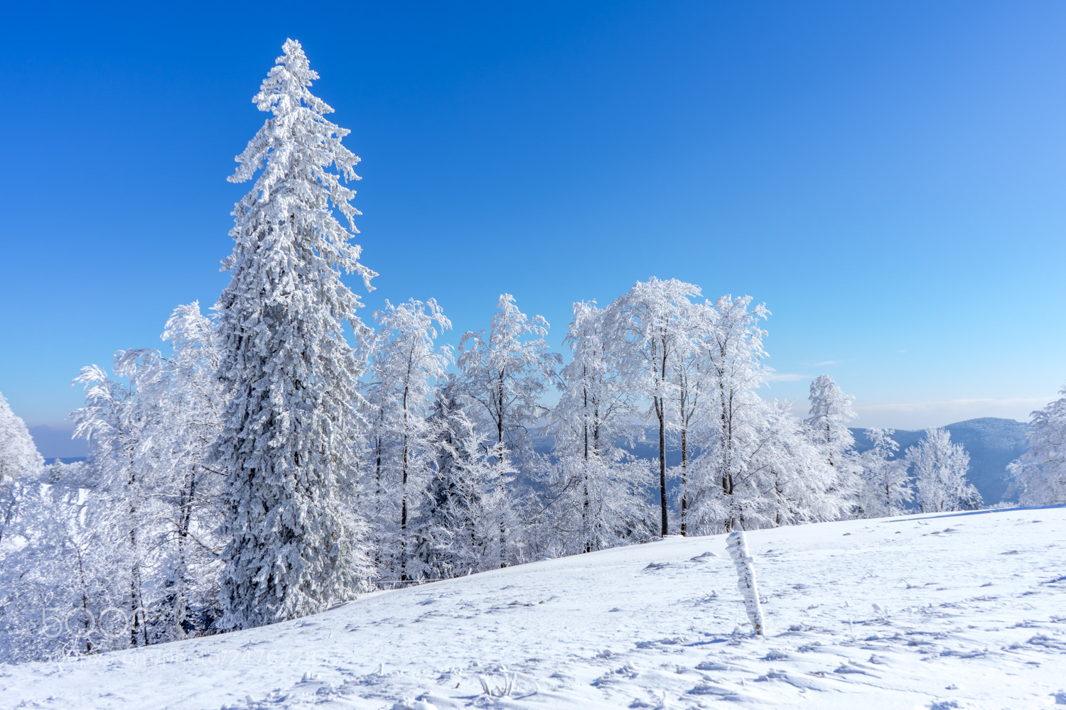 Sony a7 II sample photo. Wintermärchen photography