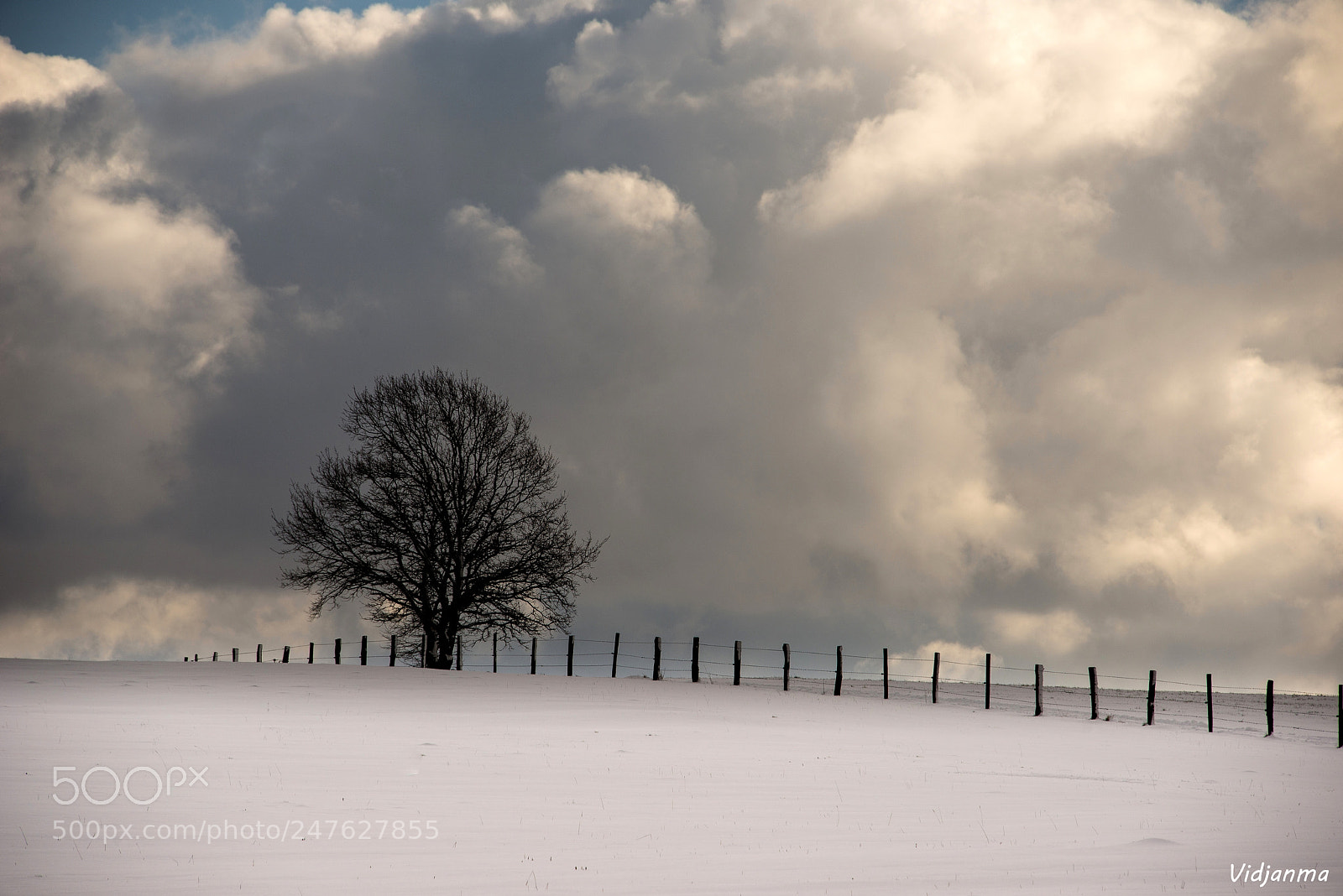 Nikon D610 sample photo. Alone with the sky photography