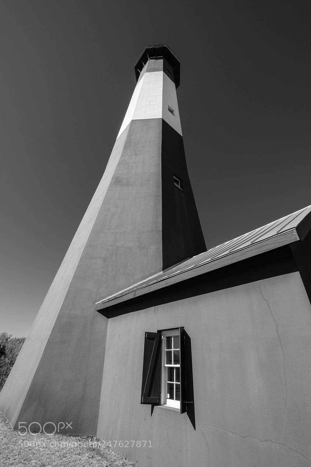 Fujifilm X-T2 sample photo. Towering (144 feet) photography