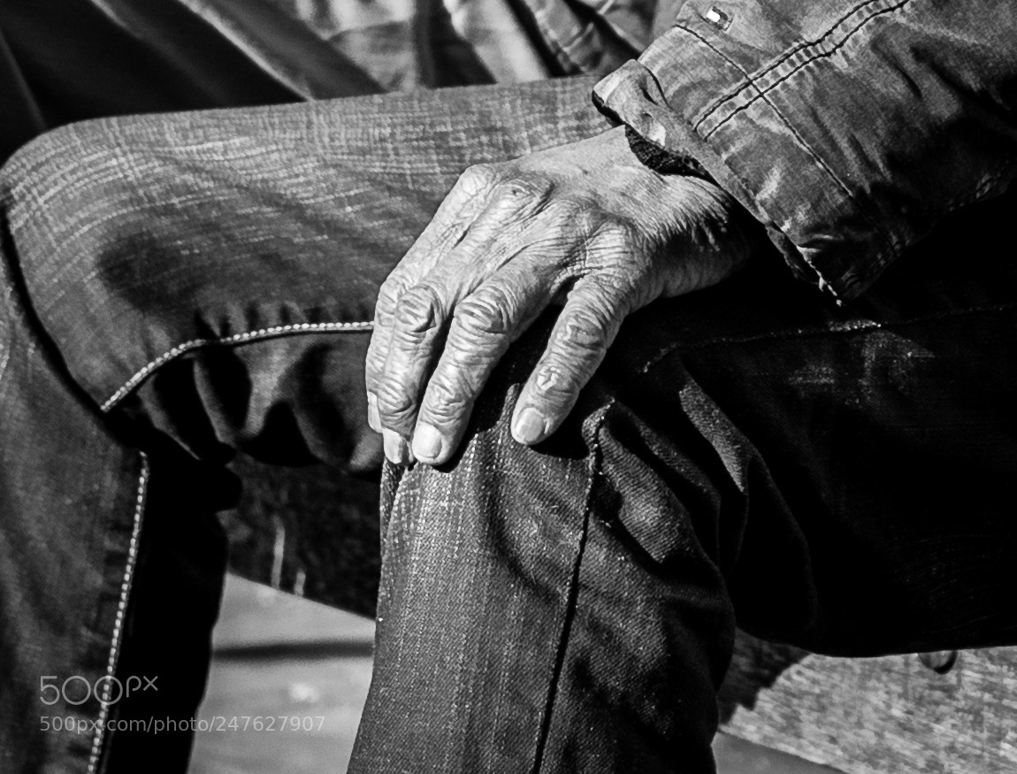 Canon EOS 80D sample photo. Together photography