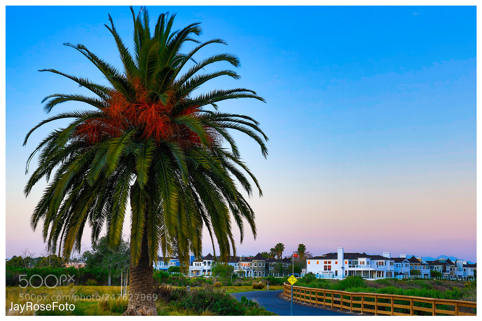 Canon EOS 5DS R sample photo. Untitled photography