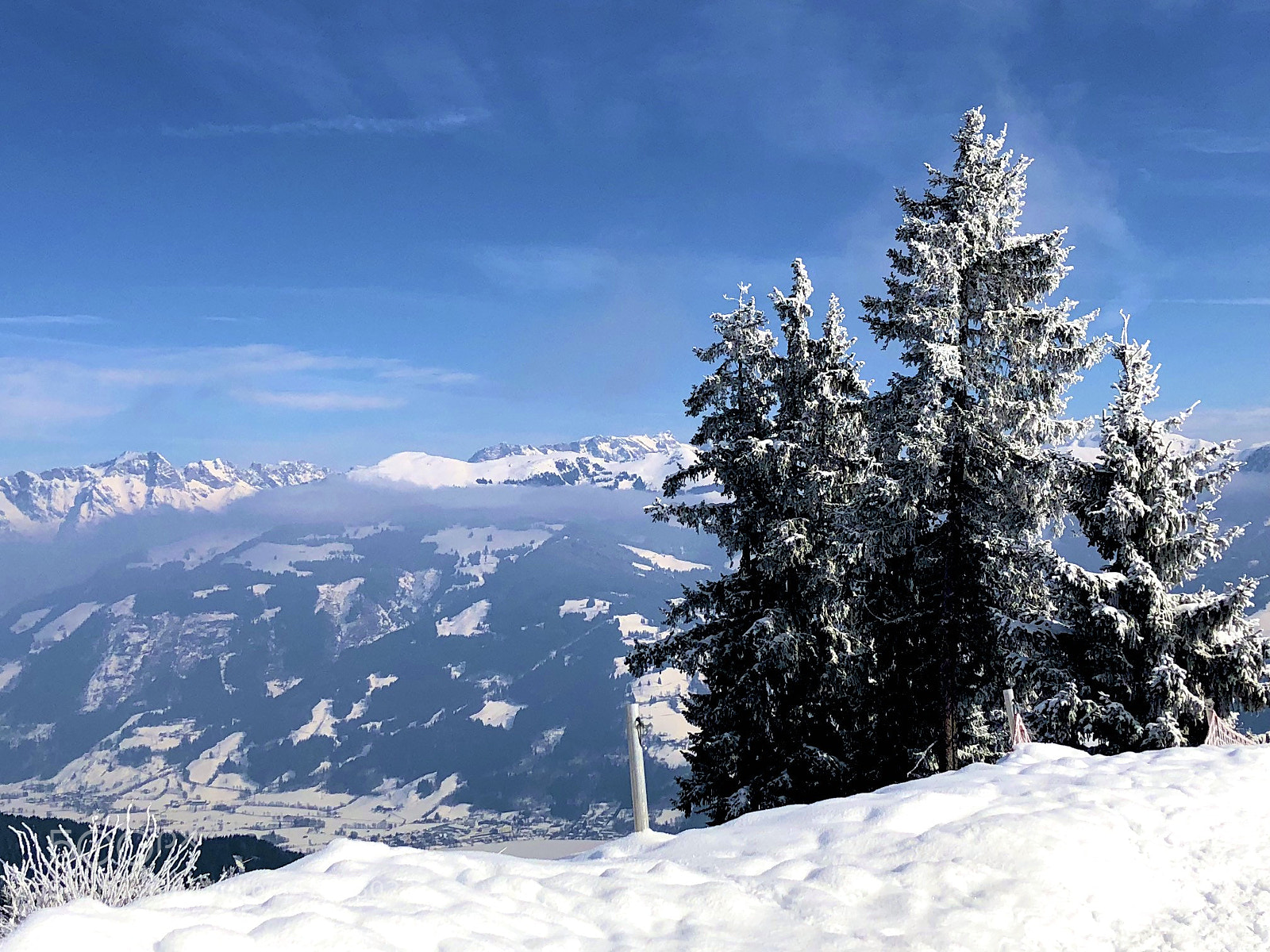 Apple iPhone X sample photo. Alp photography