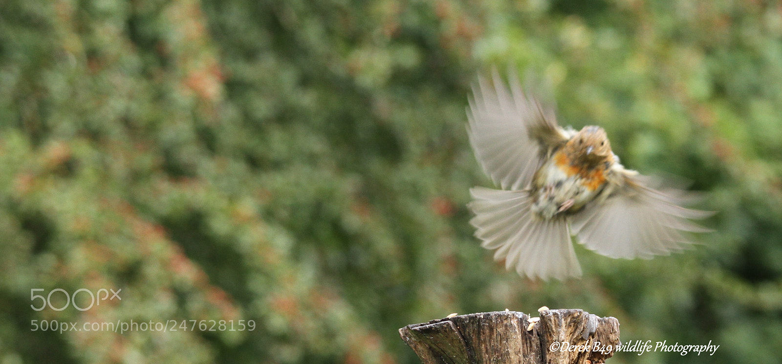 Canon EOS 7D sample photo. Flaps down brakes on photography