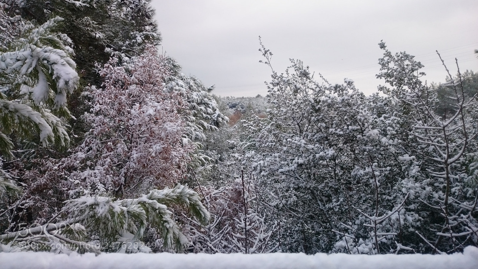 Sony Xperia Z2 sample photo. Winter is ciceklikoy photography