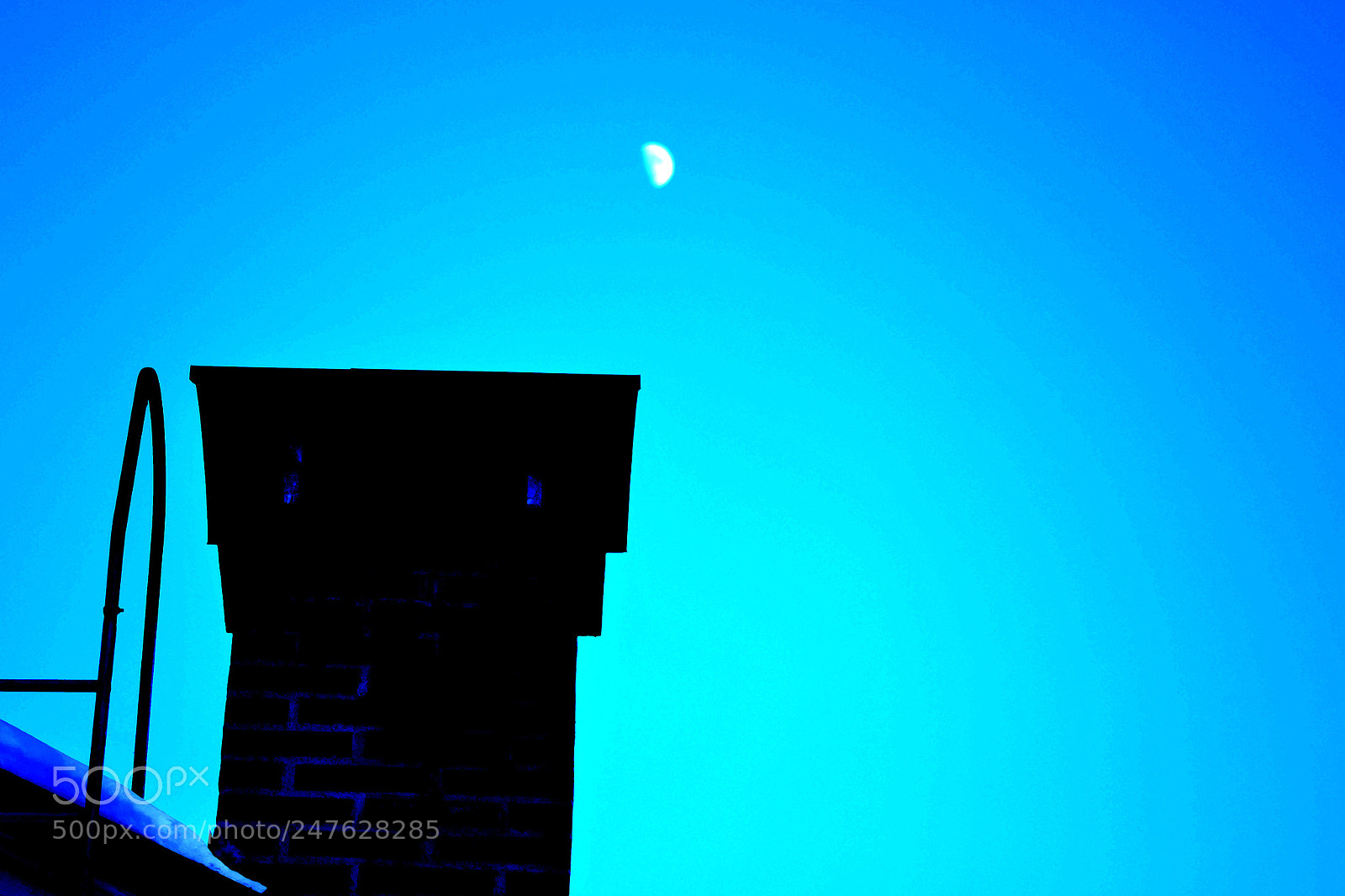 Nikon D3100 sample photo. Untitled photography