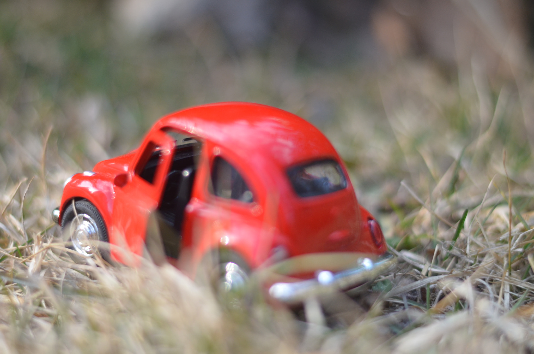 Nikon D5100 + Nikon AF-S Nikkor 50mm F1.8G sample photo. Decline photography