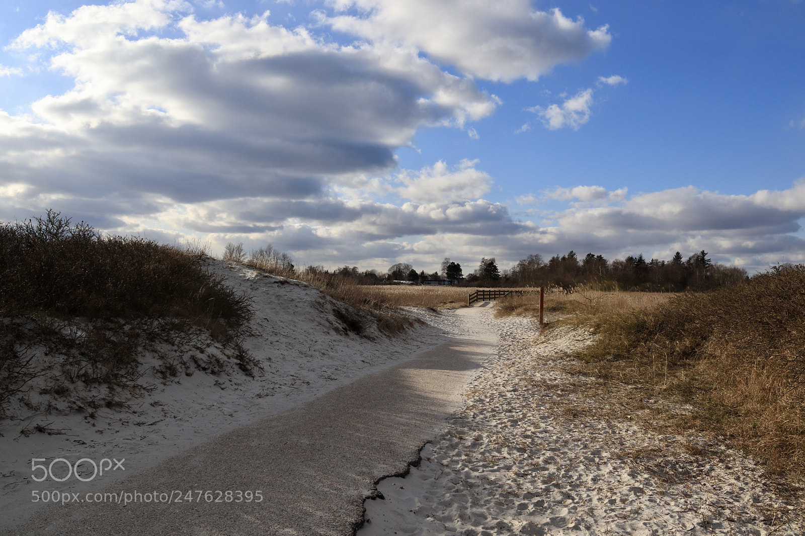 Canon EOS 77D (EOS 9000D / EOS 770D) sample photo. Winter in denmark photography