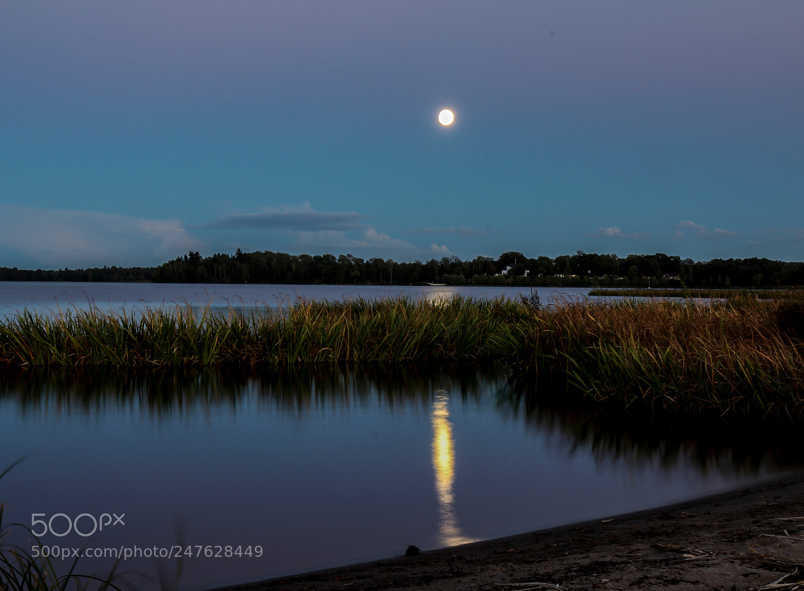 Canon EOS 600D (Rebel EOS T3i / EOS Kiss X5) sample photo. Full moon photography
