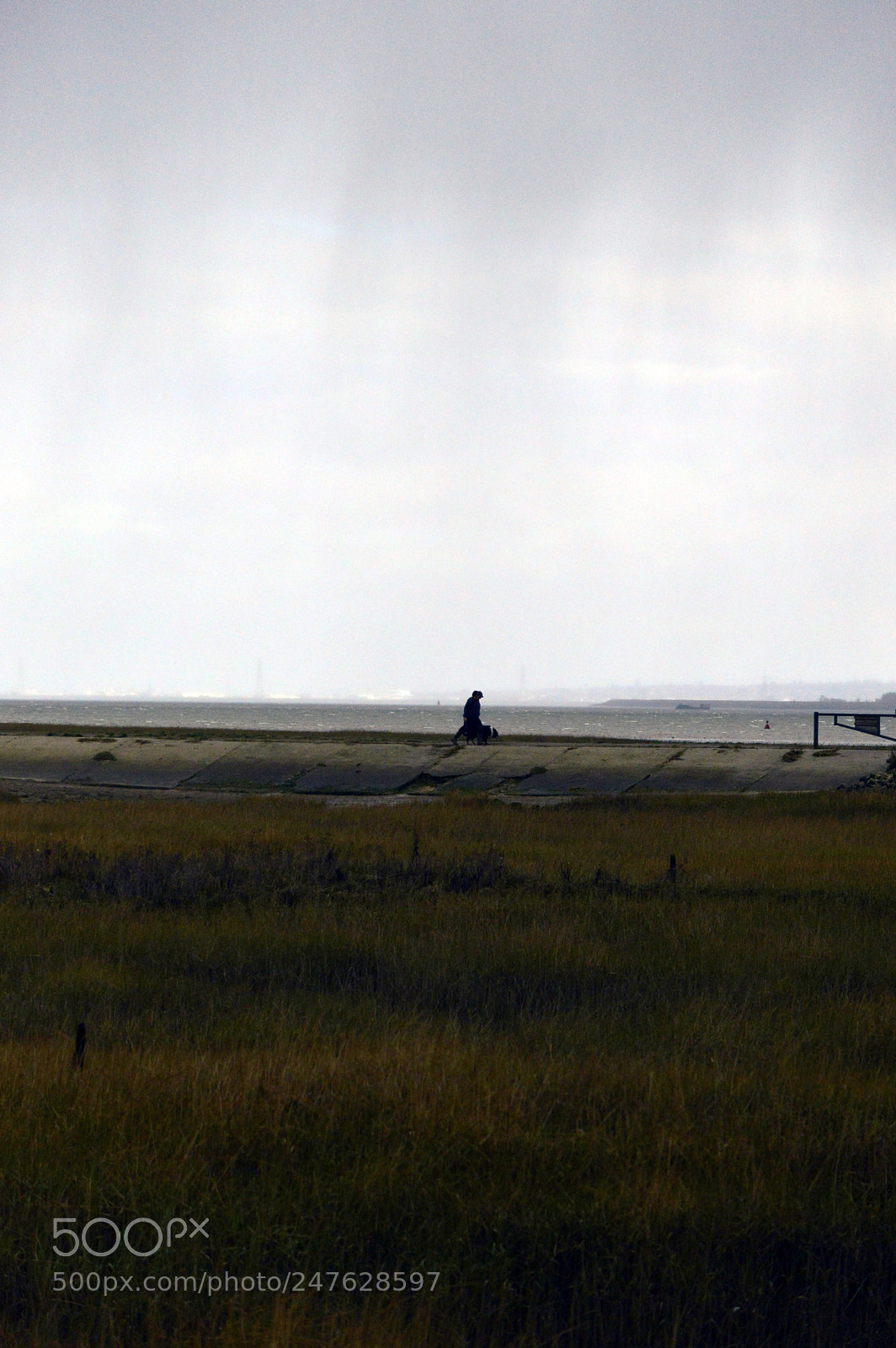 Nikon D3200 sample photo. Isoluation photography
