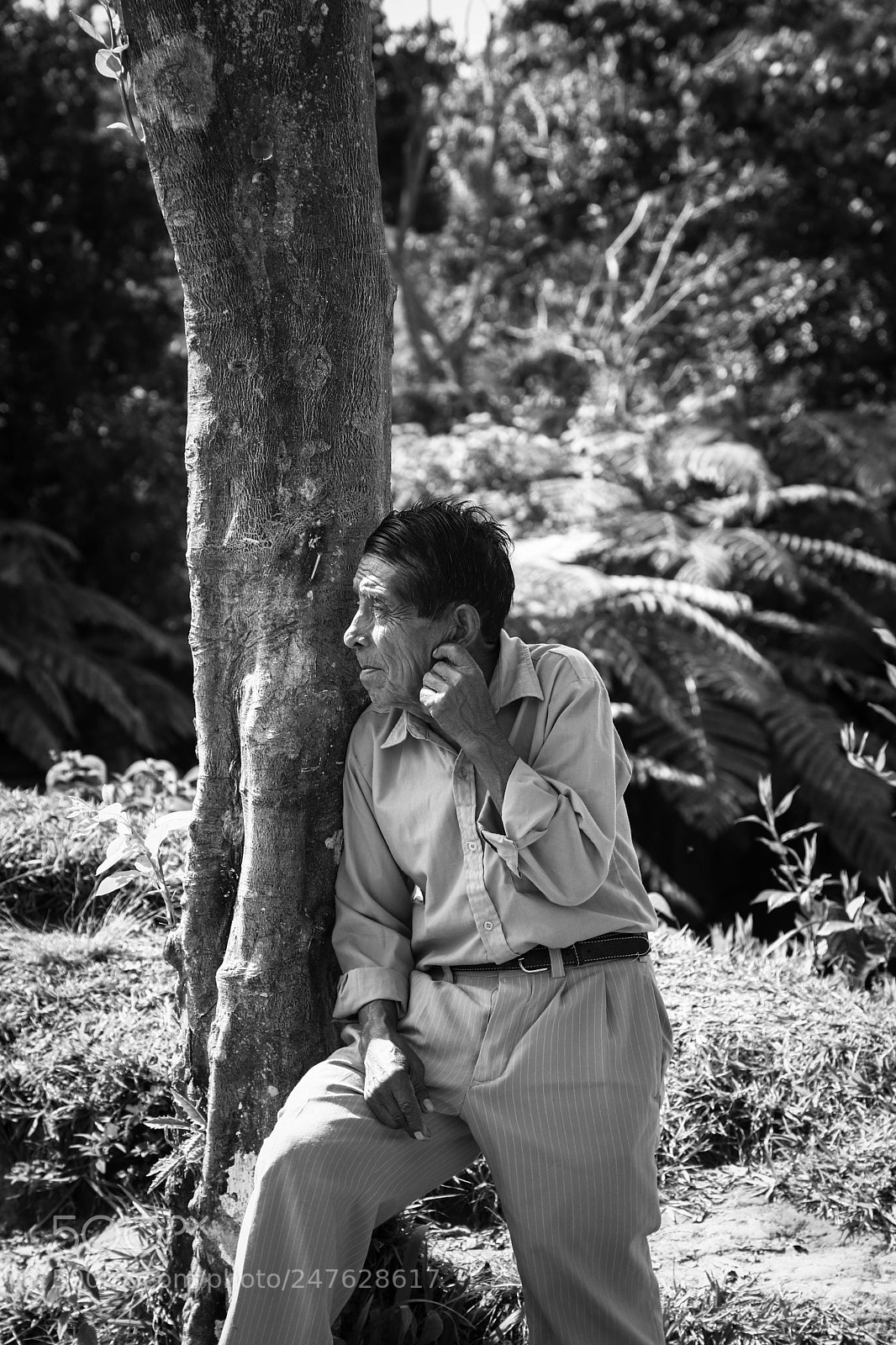 Canon EOS 6D Mark II sample photo. Don ramon! photography