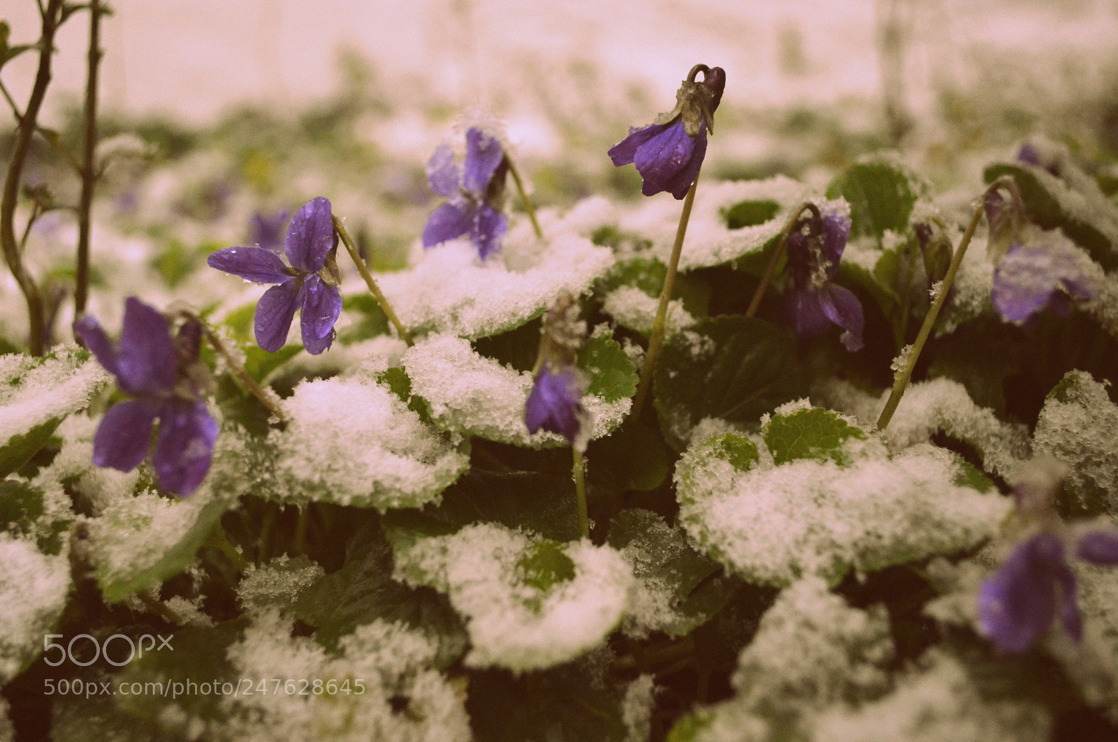 Nikon D3200 sample photo. Fotot photography