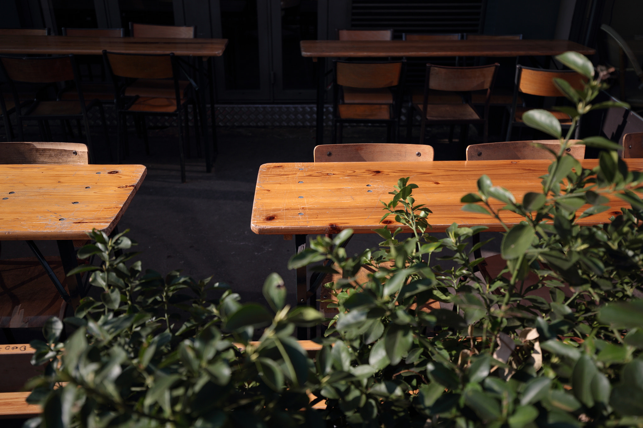 Canon EF 16-35mm F4L IS USM sample photo. Order photography