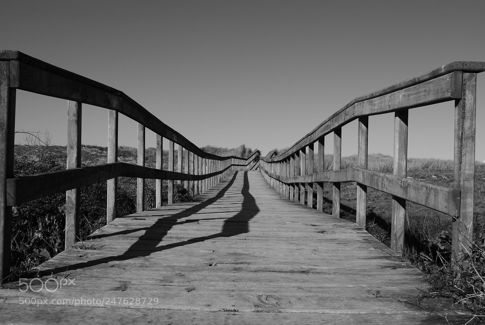 Nikon D3000 sample photo. A long way to... photography