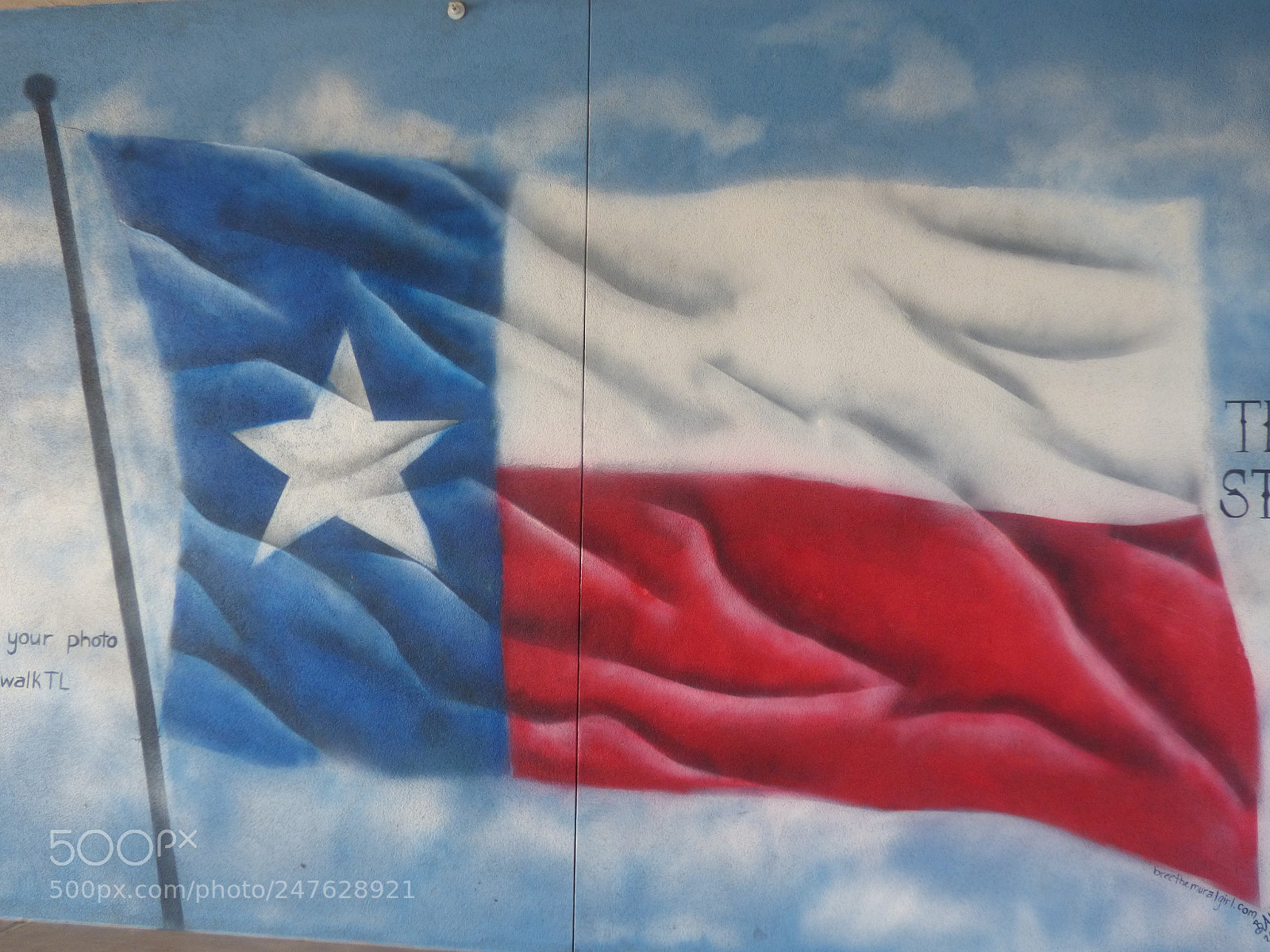 Panasonic Lumix DMC-FZ70 sample photo. Texas flag photography
