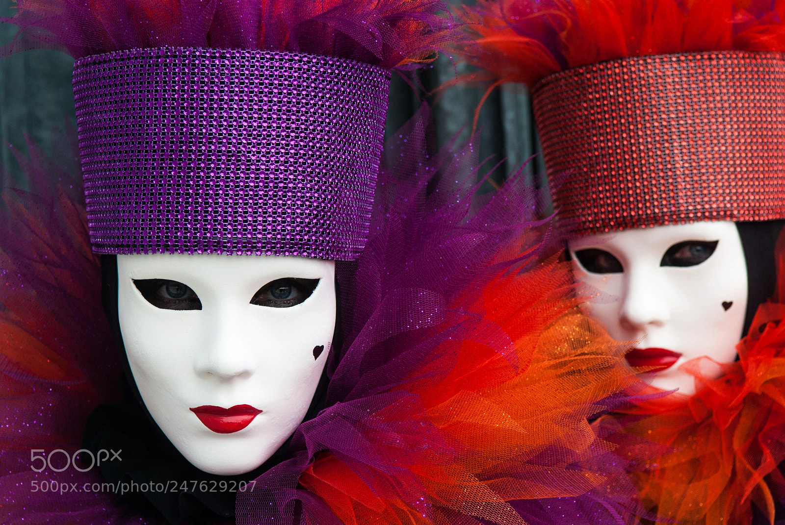 Nikon D200 sample photo. Carnaval de venise photography