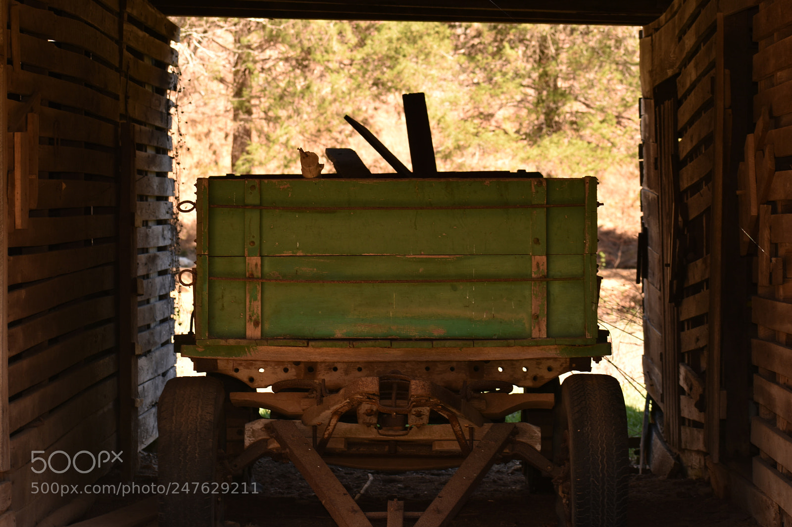 Nikon D3400 sample photo. A long rest photography