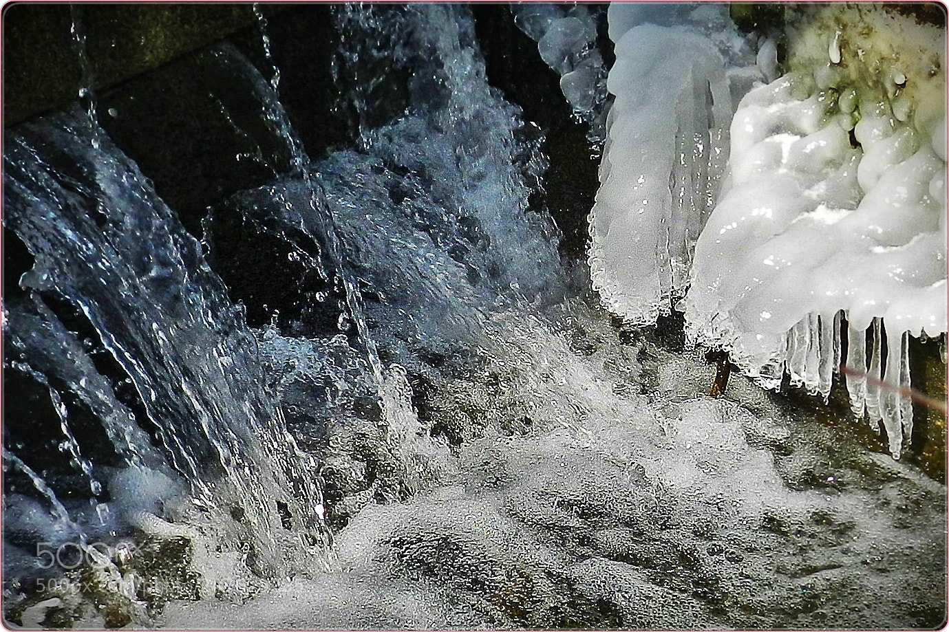 Nikon Coolpix P500 sample photo. Very cold day photography