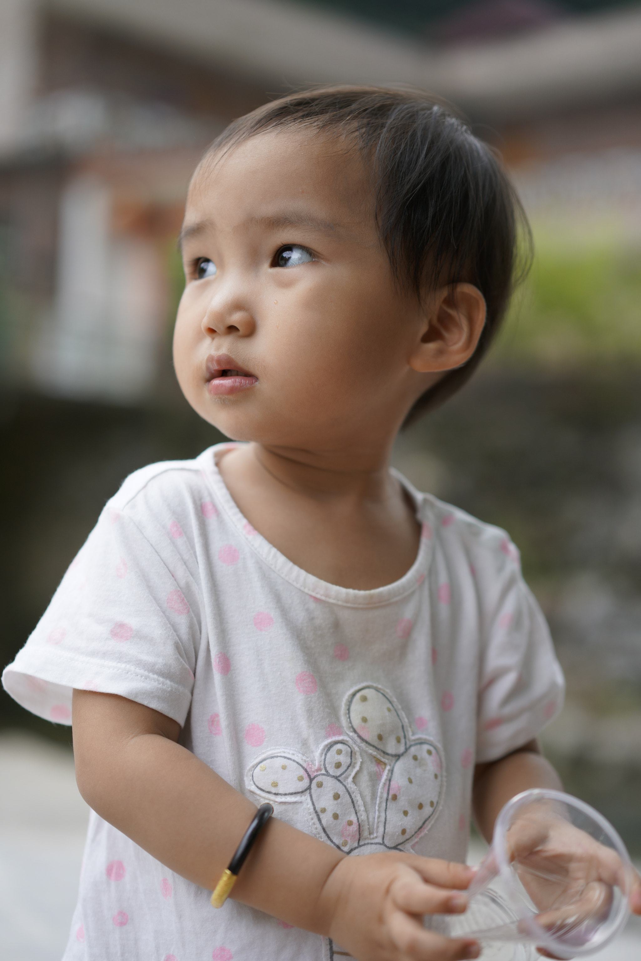 Sony a7R II + Sony Sonnar T* FE 55mm F1.8 ZA sample photo