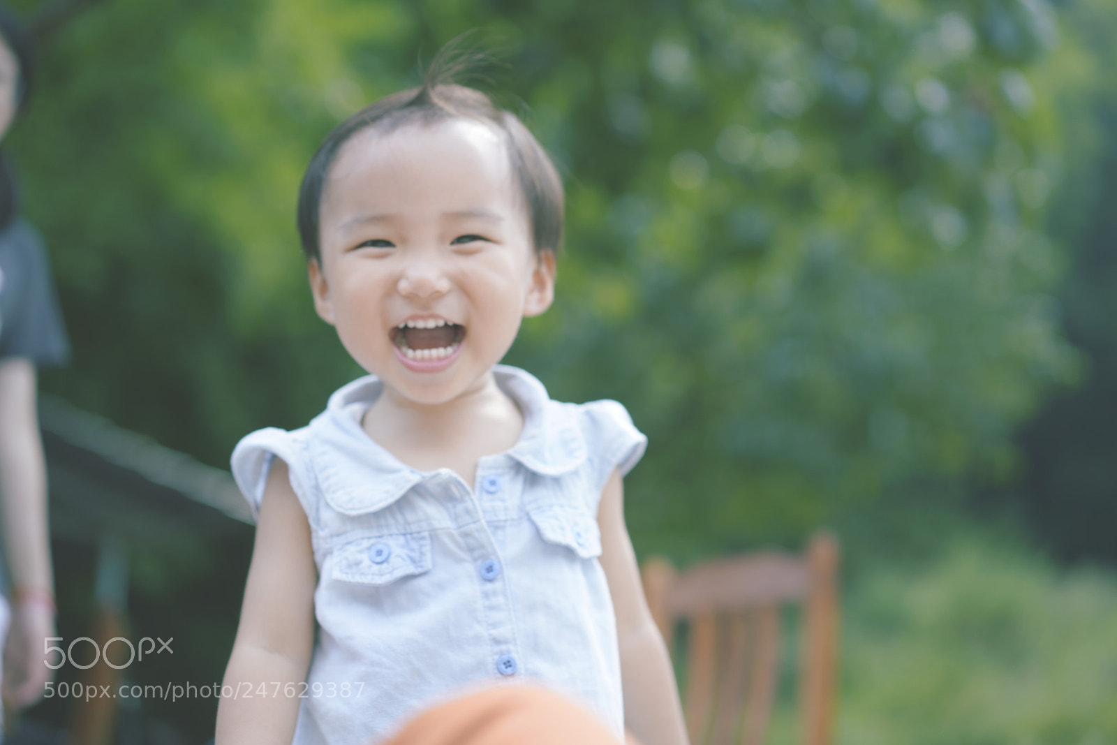 Sony a7R II sample photo. Untitled photography