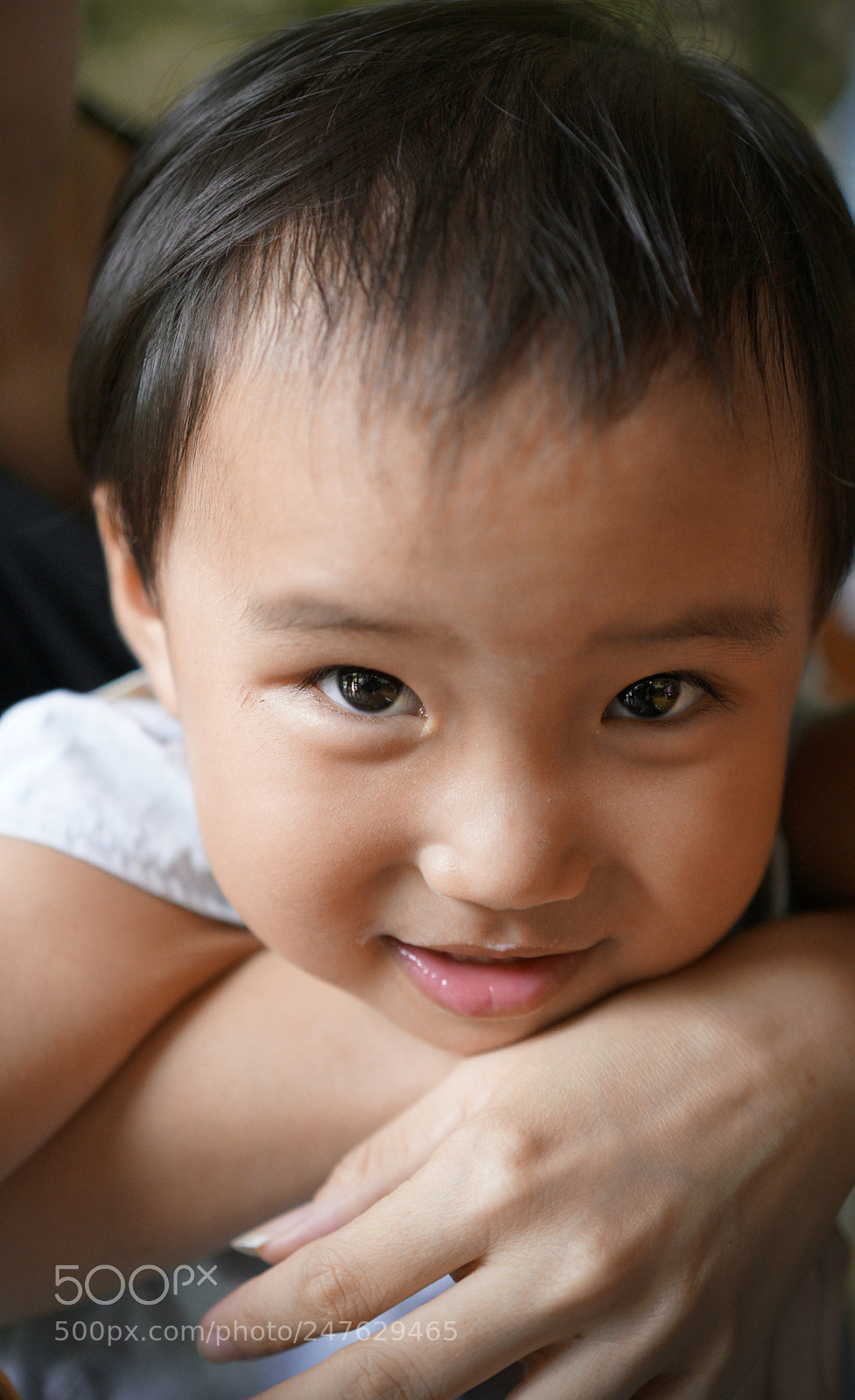 Sony a7R II sample photo. Untitled photography