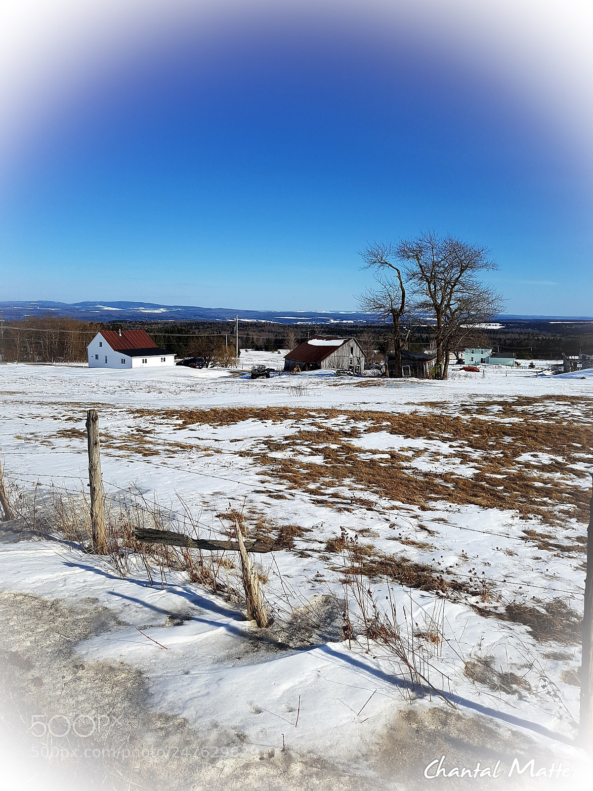 Samsung Galaxy S7 sample photo. Winter photography