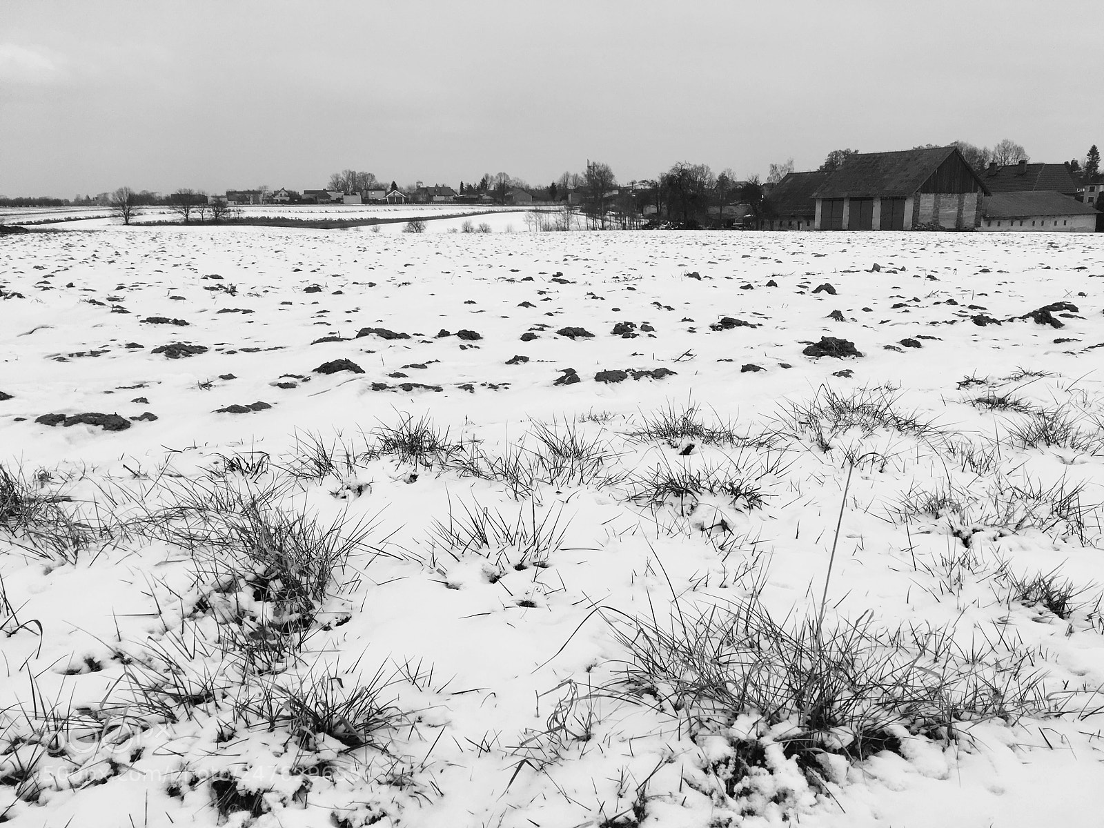 Apple iPhone SE sample photo. Jastrzębie-zdrój, poland. photography