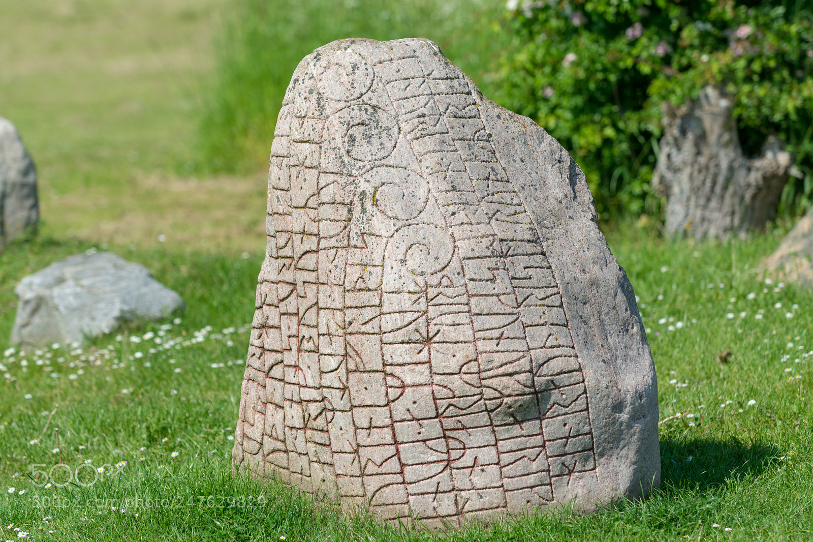 Nikon D7100 sample photo. Runes photography