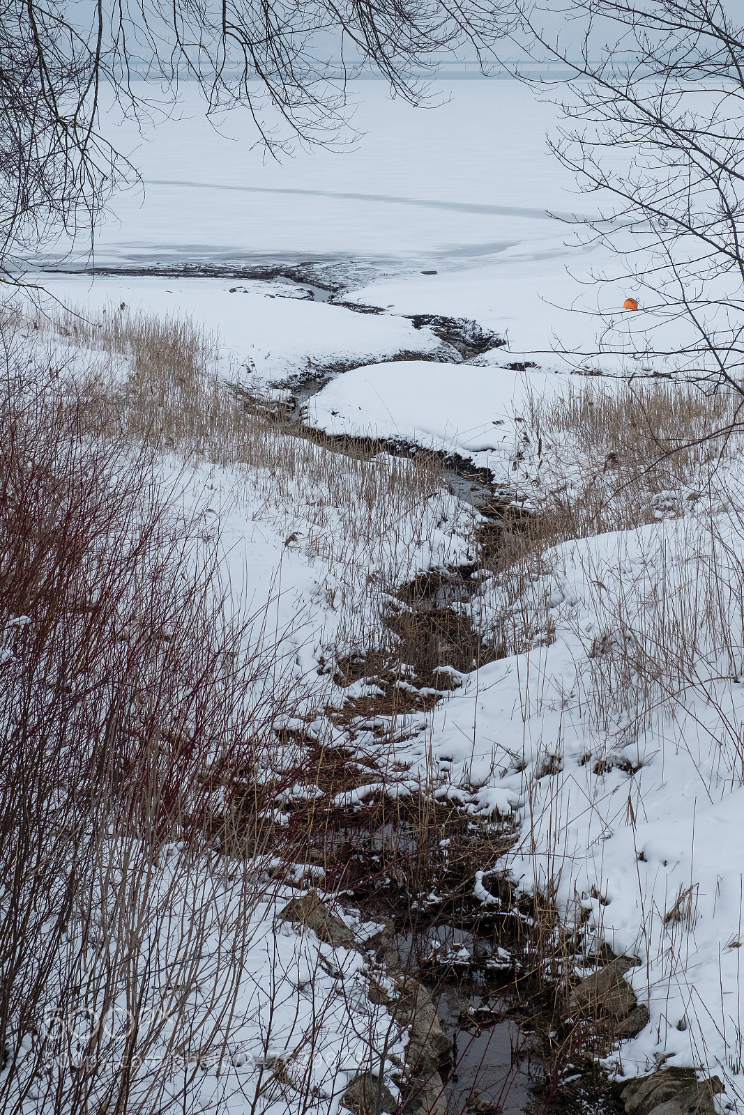 Fujifilm X-Pro2 sample photo. Frozen river photography