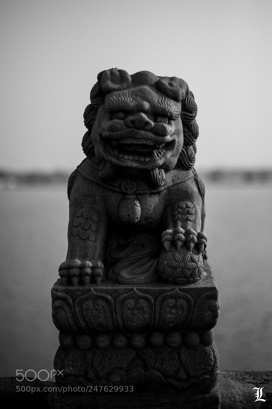 Nikon Df sample photo. No more war. photography