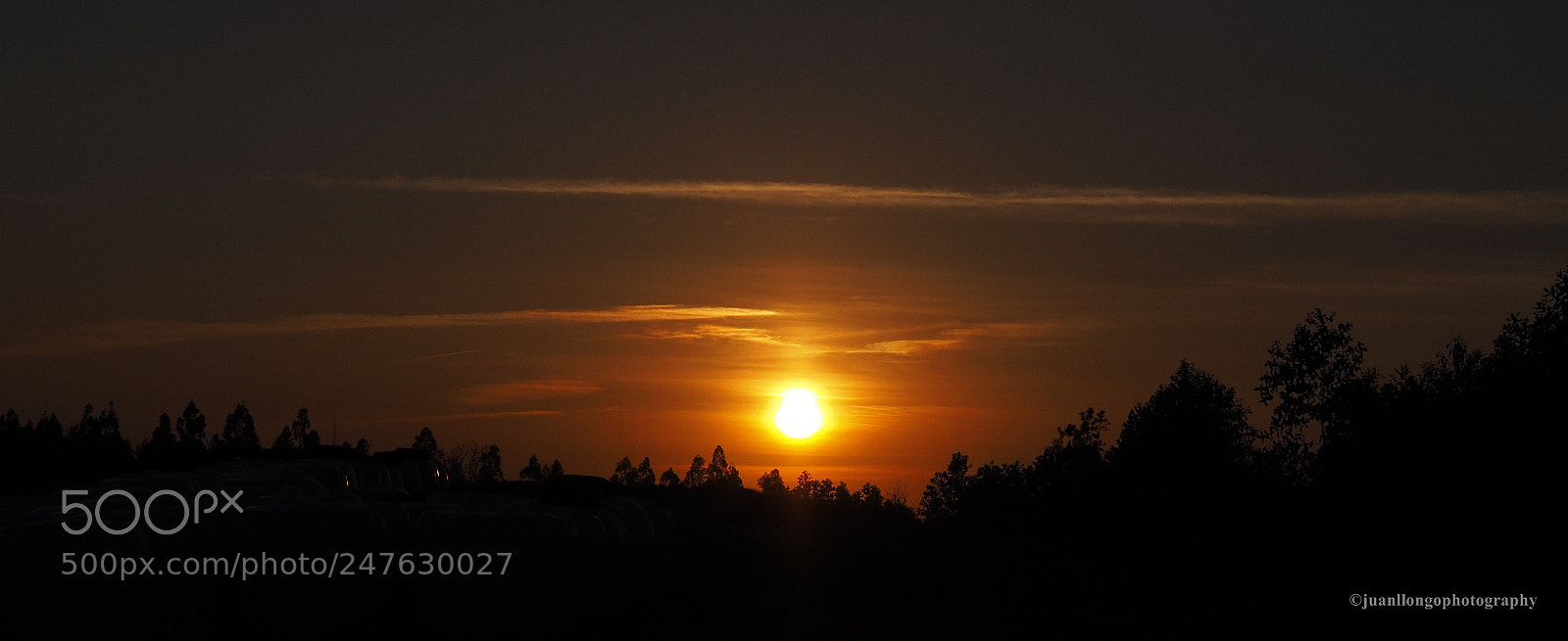 Olympus OM-D E-M10 II sample photo. Atardecer - sunset photography