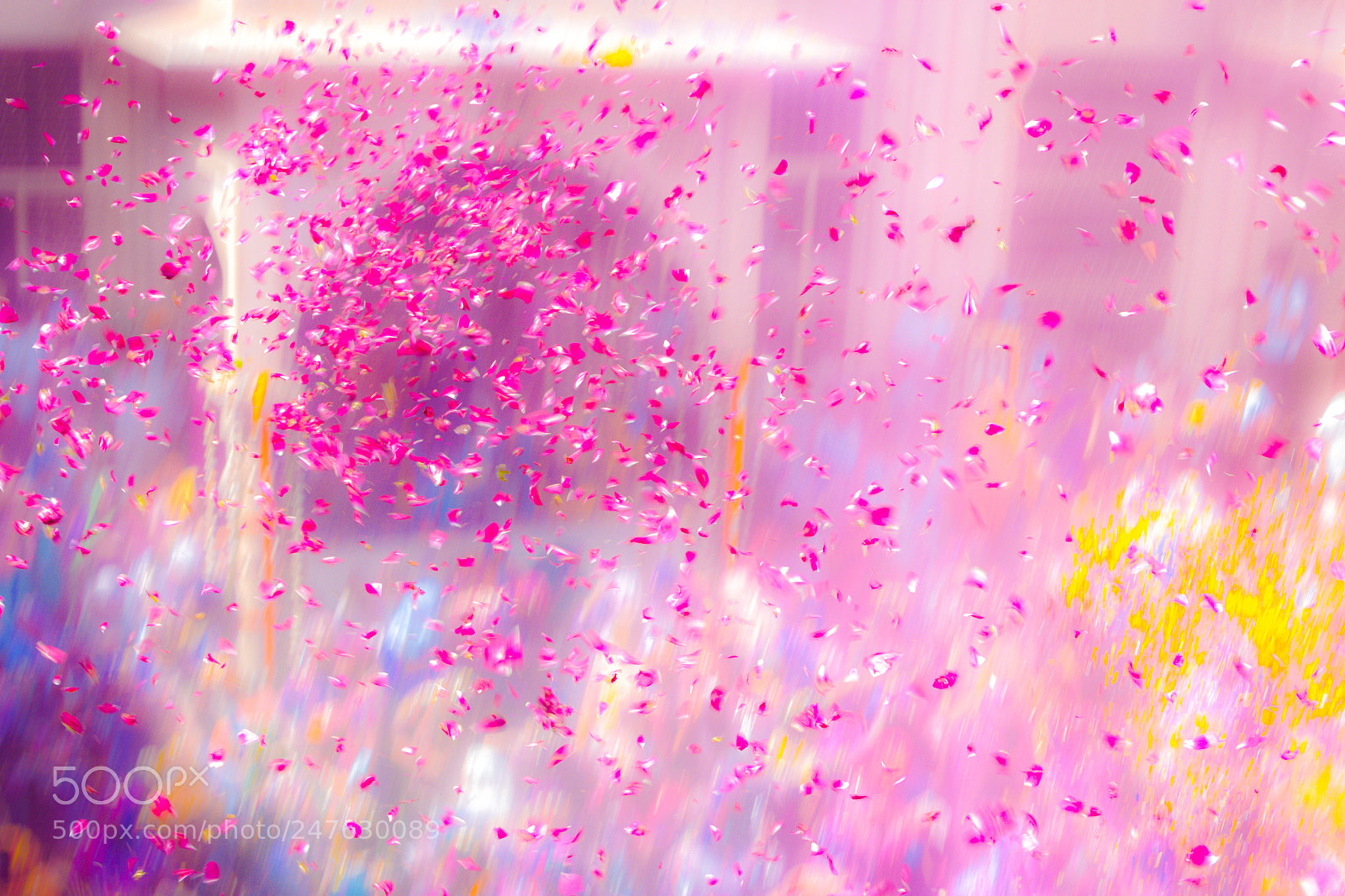 Canon EOS 60D sample photo. Holi inspiration photography