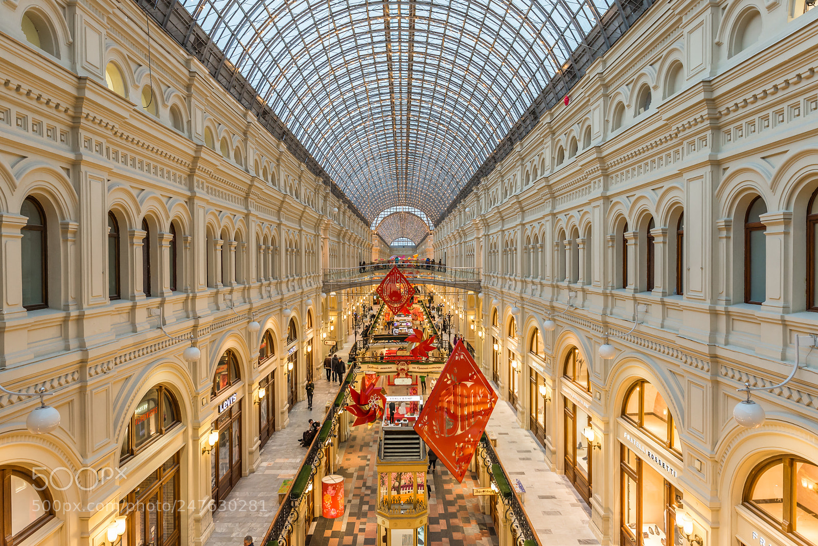 Nikon D610 sample photo. Interior of gum in photography