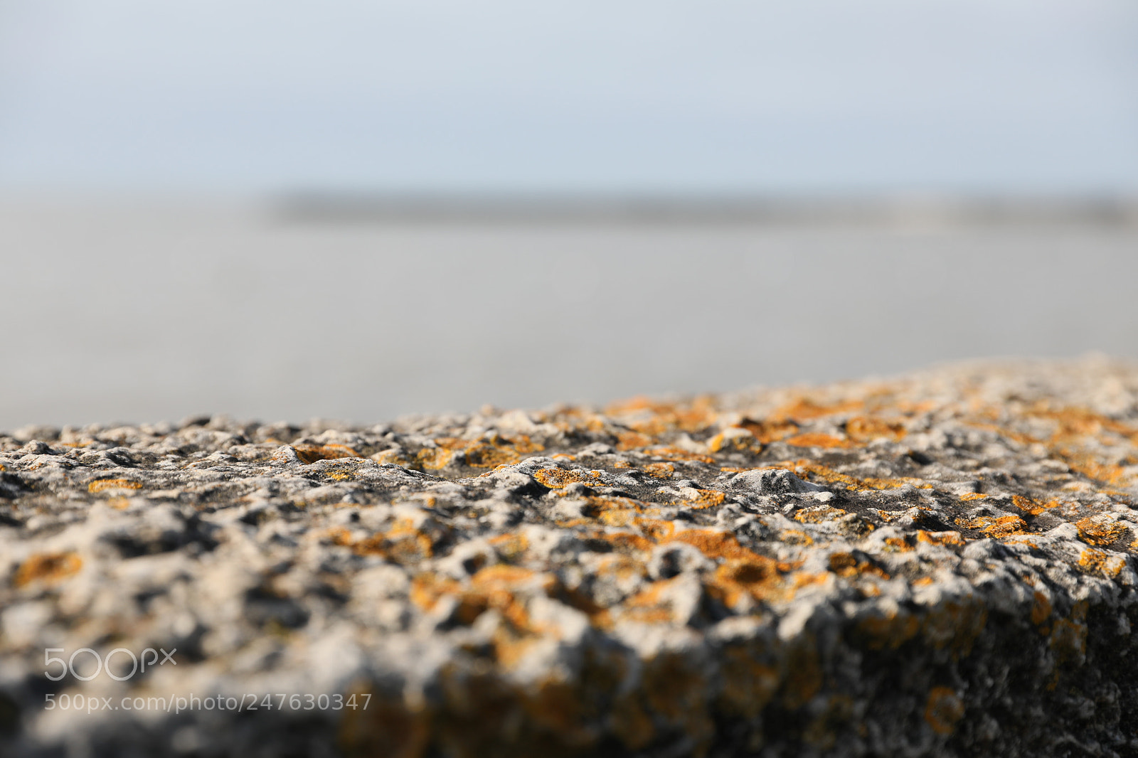 Canon EF 24-70mm F2.8L II USM sample photo. Muret du bord de photography
