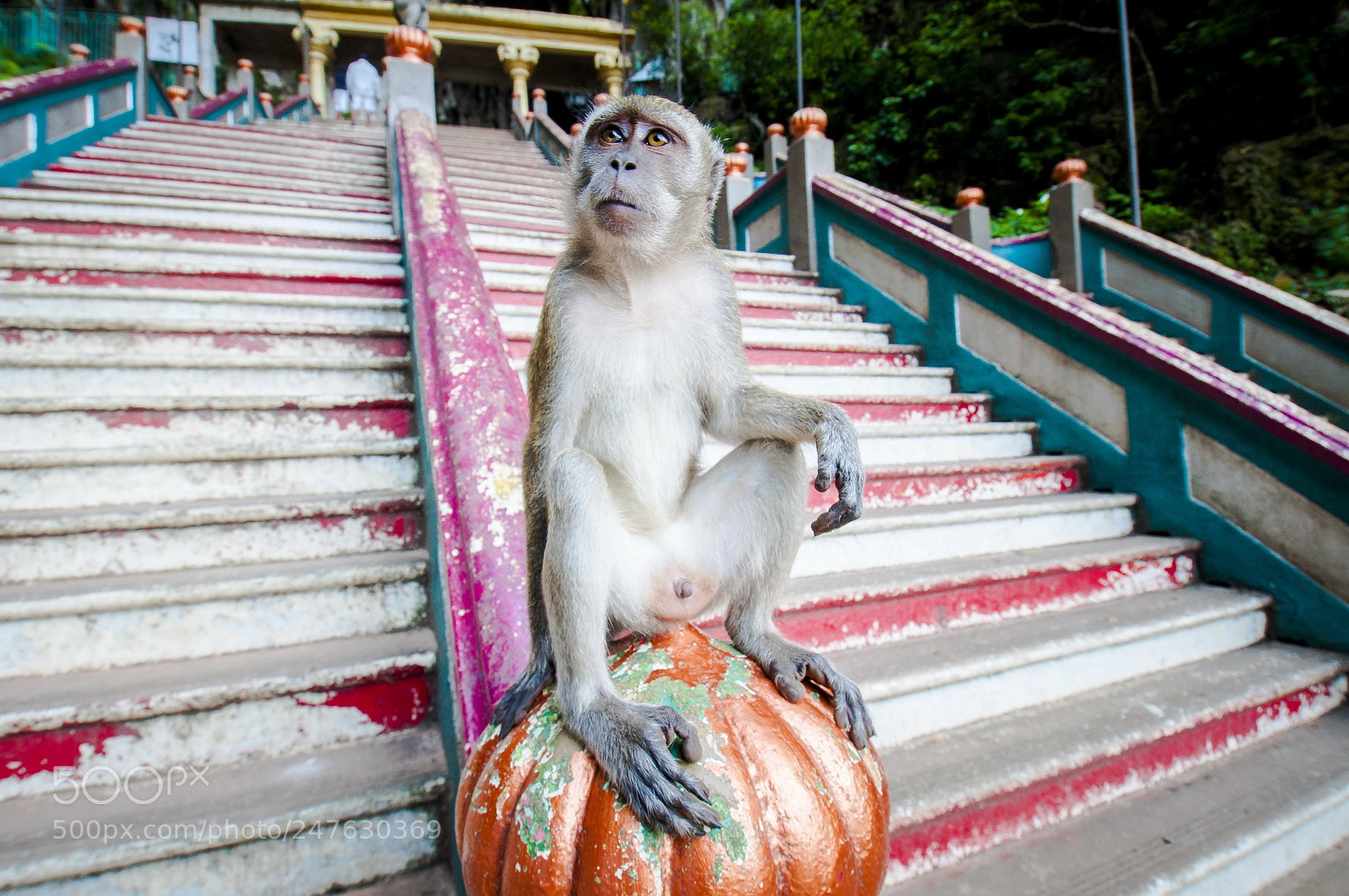Nikon D90 sample photo. Chilled on the stairs photography
