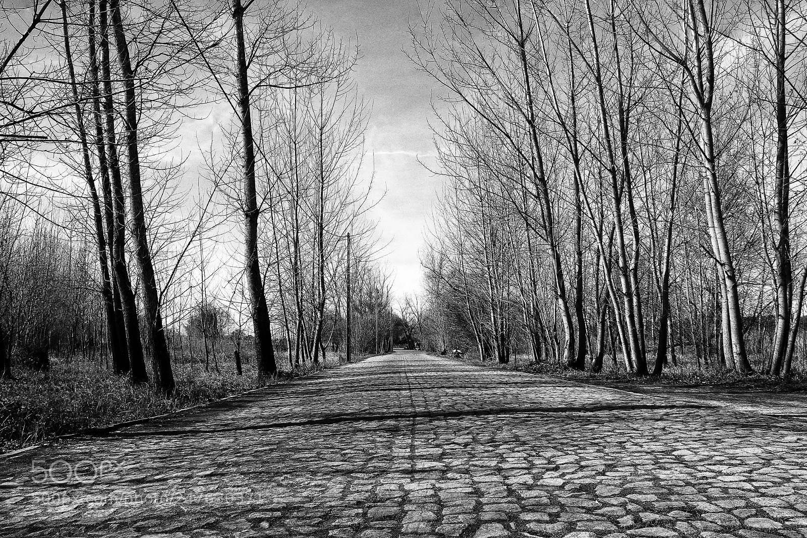 Canon EOS 7D sample photo. Old brick road photography