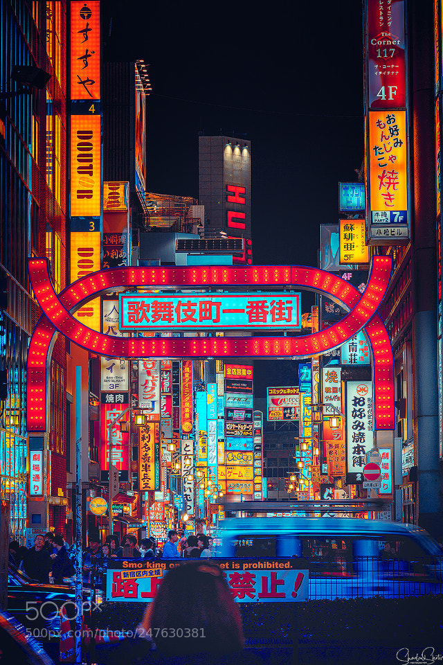 Canon EOS 5DS R sample photo. “shinjuku gates” ©2018 photography
