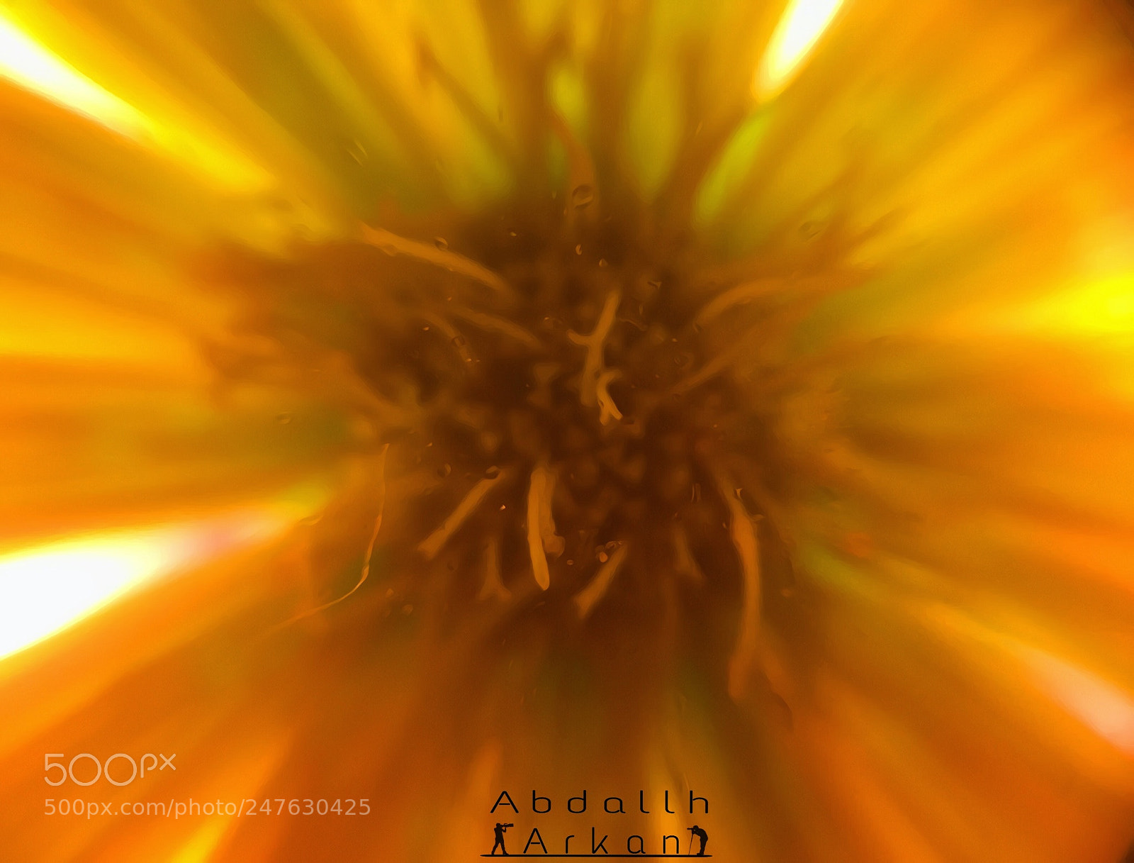 Apple iPhone 6 sample photo. Axis of flowering photography