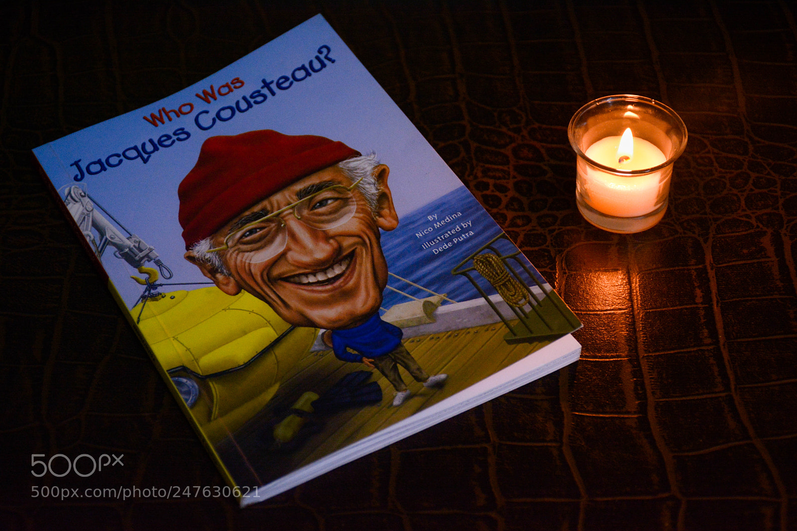 Nikon D7100 sample photo. Untitled photography