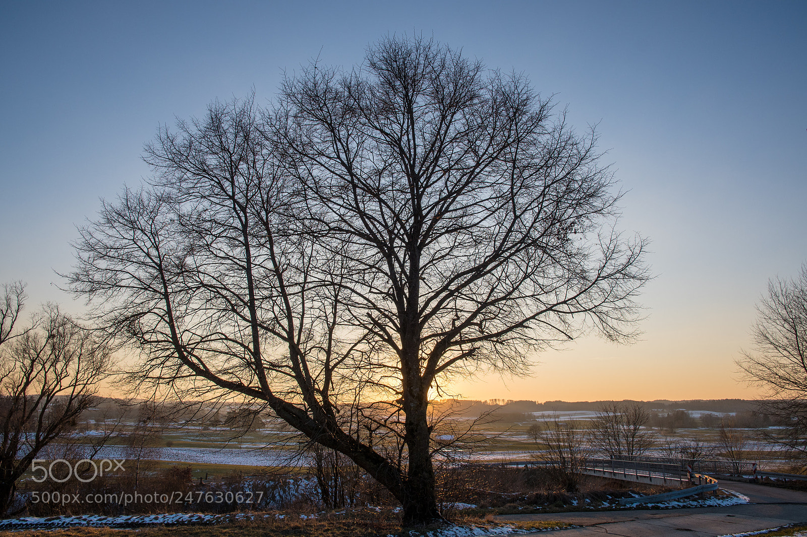 Nikon D500 sample photo. Baum photography