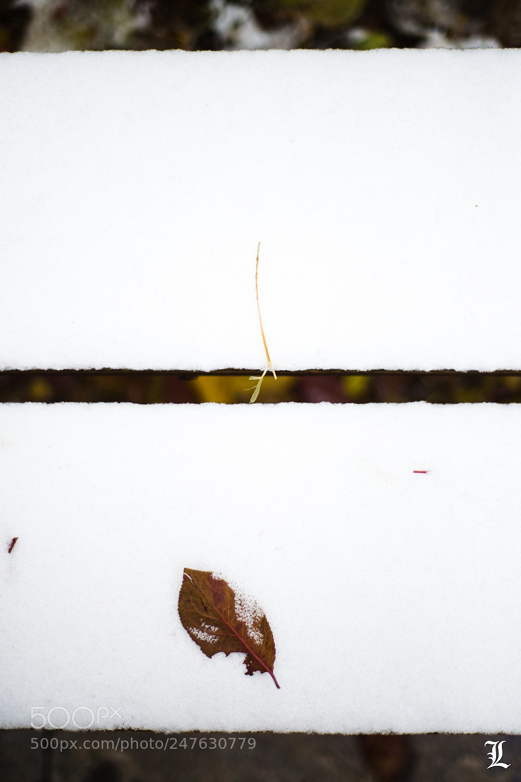 Nikon Df sample photo. Snow. photography